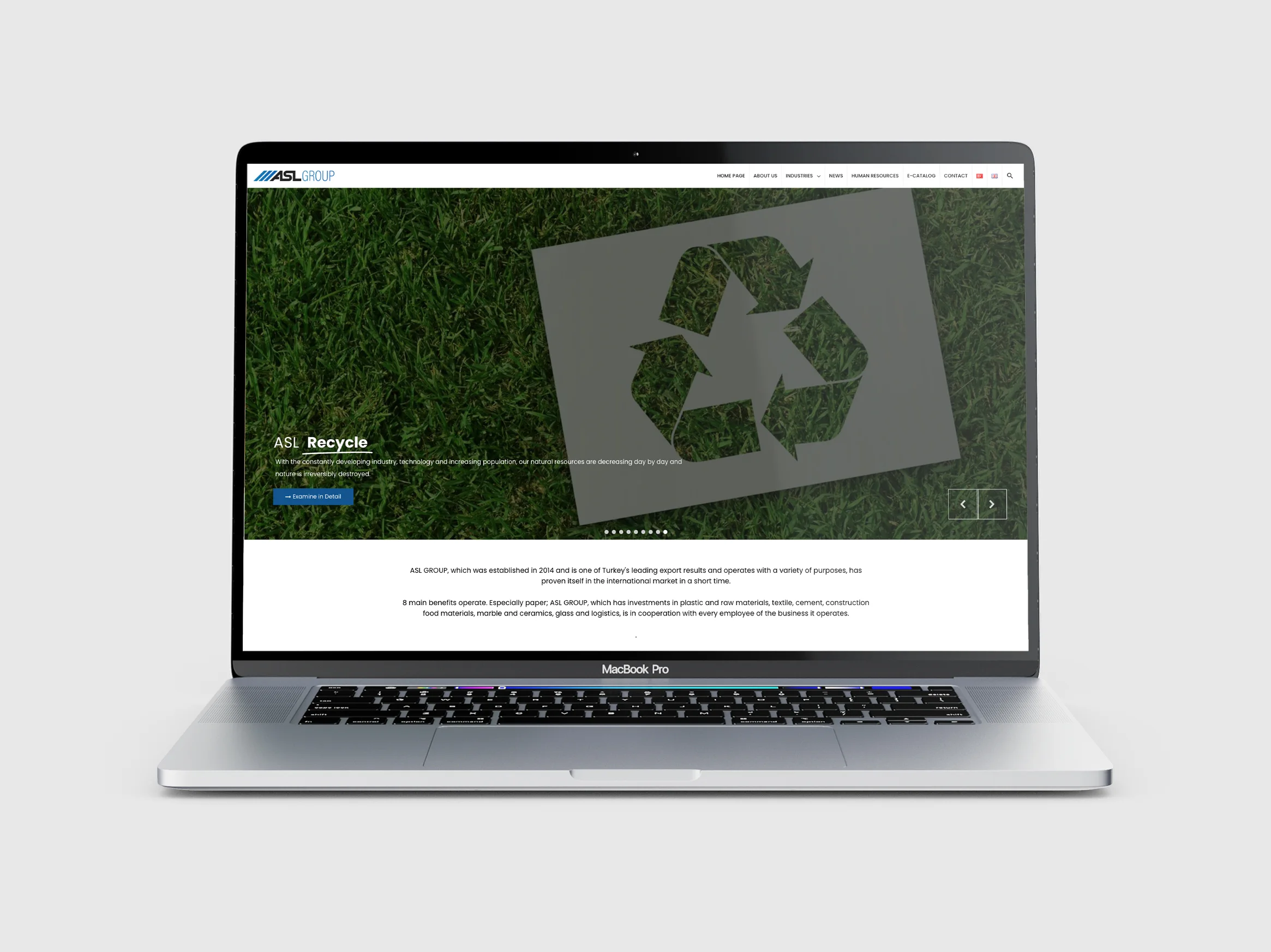 Aslgroup Web Tasarımı projesi